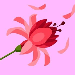 Meet your Posher, An